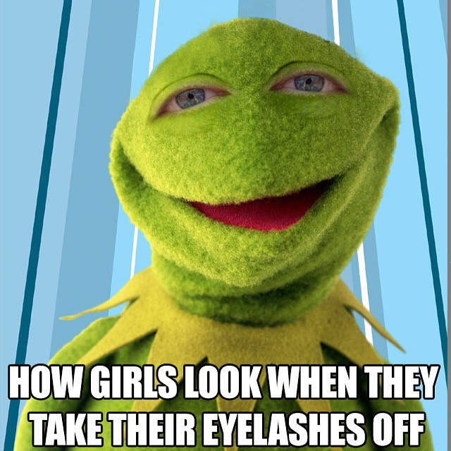 kermit the frog eyes - How Girls Look When They Take Their Eyelashes Off
