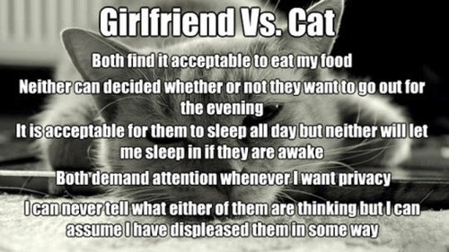 girlfriend vs cat - Girlfriend Vs. Cat Both find it acceptable to eat my food Neither can decided whether or not they want to go out for the evening It is acceptable for them to sleep all day but neither will let me sleep in if they are awake Both demand 