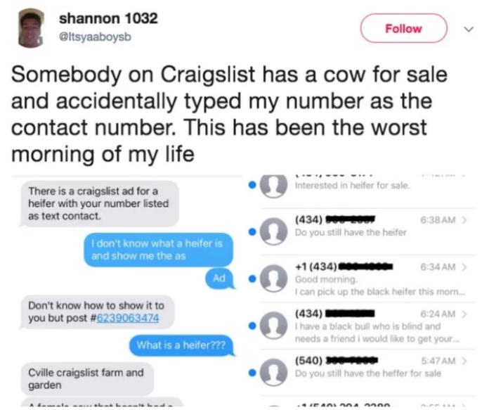 funny wrong texts - shannon 1032 Somebody on Craigslist has a cow for sale and accidentally typed my number as the contact number. This has been the worst morning of my life Interested in heifer for sale. There is a craigslist ad for a heifer with your nu