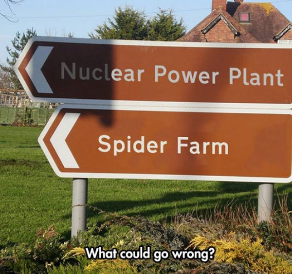 could go wrong - 'Nuclear Power Plant Spider Farm What could go wrong?