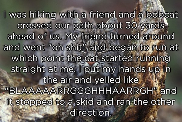 16 People share their craziest 'holy sh*t, that worked' moments