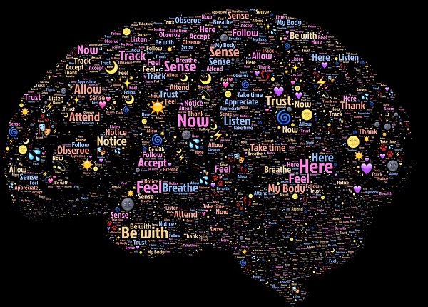 Using GPS systems in order to get places has ruined our brains innate ability to have a good sense of direction.