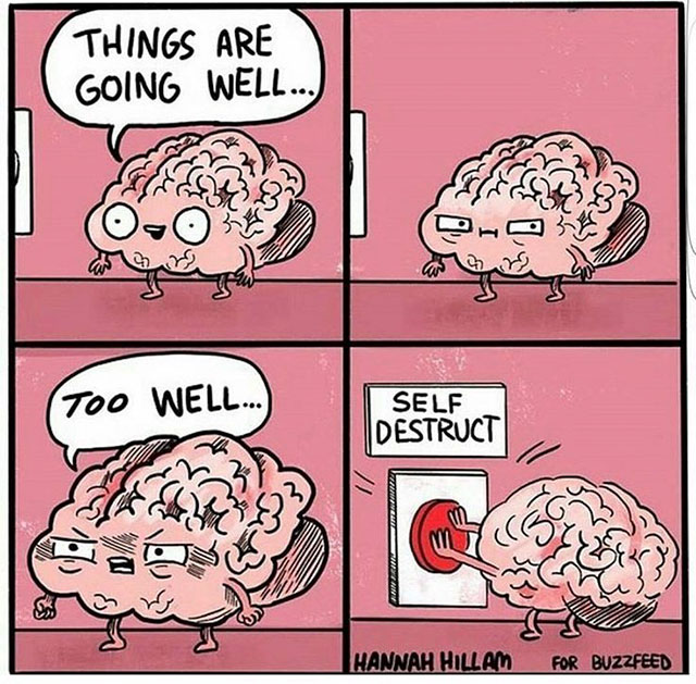 brain anxiety meme - Things Are Going Well... Too Well.... Self Destruct Han Hannah Hillam For Buzzfeed