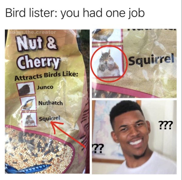 nut and cherry attracts birds - Bird lister you had one job at the.creator Nut & Cherry Squirrel Attracts Birds Junco Nuthatch Squirrel ??? ??