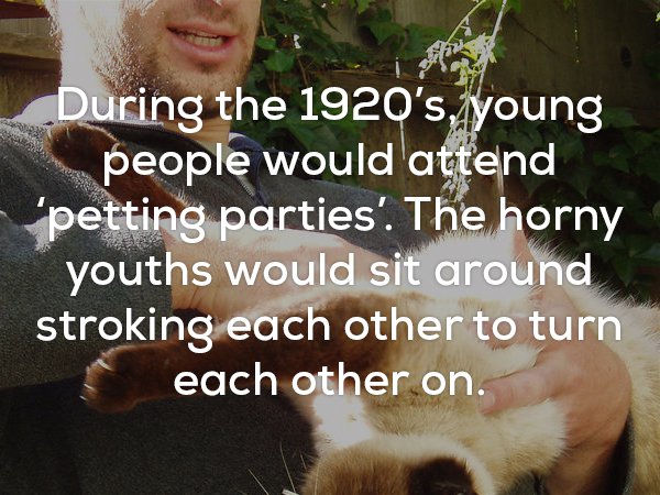 photo caption - During the 1920's, young people would attend 'petting parties'. The horny youths would sit around stroking each other to turn each other on.
