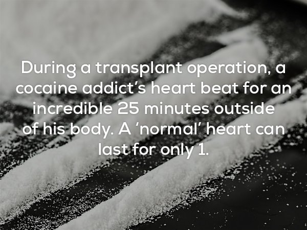 ncb arrests 9 busts international drugs cartel worth rs 1300 crore - During a transplant operation, a cocaine addict's heart beat for an incredible 25 minutes outside of his body. A 'normal' heart can last for only 1.