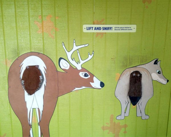 funny design fails - Lift And Sniff!