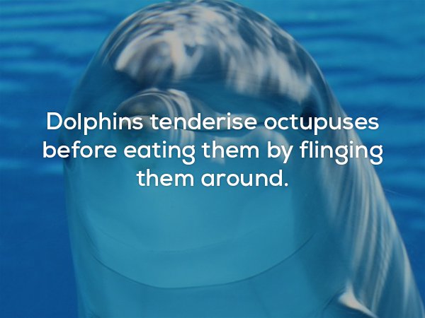 22 Disturbing Facts That Will Make You Say WTF!