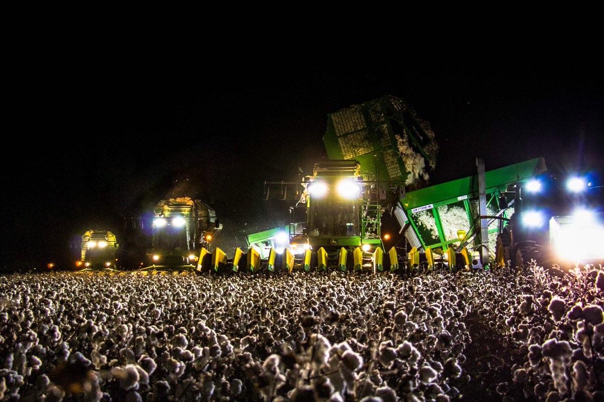 Cotton picker at night looks like a huge concert crowd