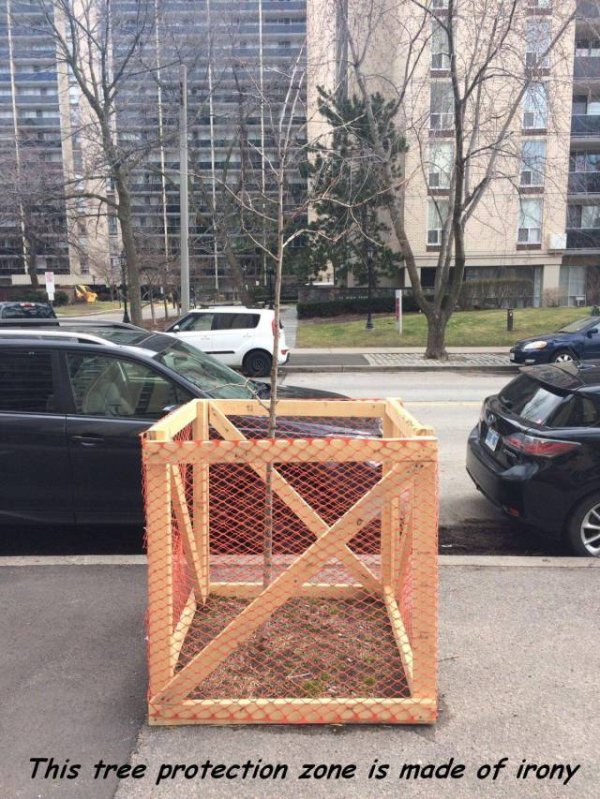tree - This tree protection zone is made of irony