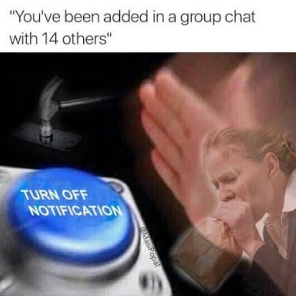 added to group chat meme - "You've been added in a group chat with 14 others" Turn Off Notification Masipopal