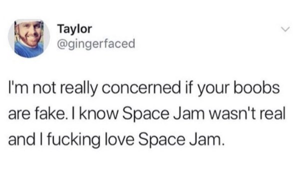 Taylor I'm not really concerned if your boobs are fake. I know Space Jam wasn't real and I fucking love Space Jam.