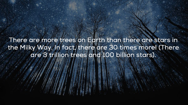 There are more trees on Earth than there are stars in the Milky Way, In fact, there are 30 times more! There are 3 trillion trees and 100 billion stars.