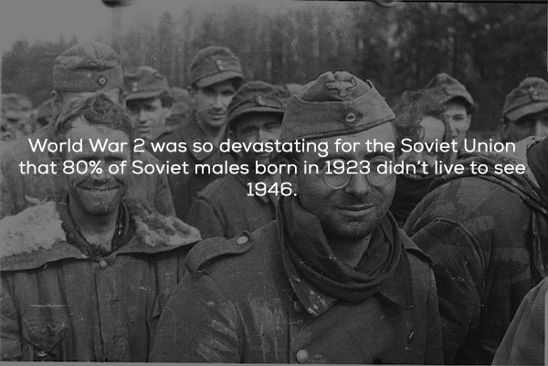 german pow in russia - World War 2 was so devastating for the Soviet Union that 80% of Soviet males born in 1923 didn't live to see 1946.