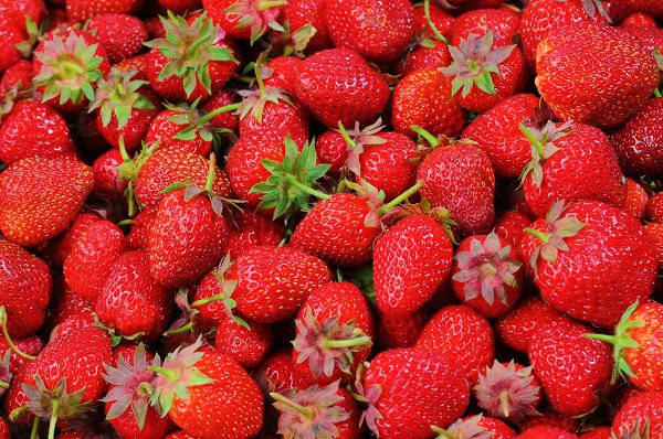 strawberries public domain