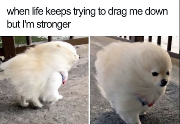 wholesome meme about feel good memes - when life keeps trying to drag me down but I'm stronger
