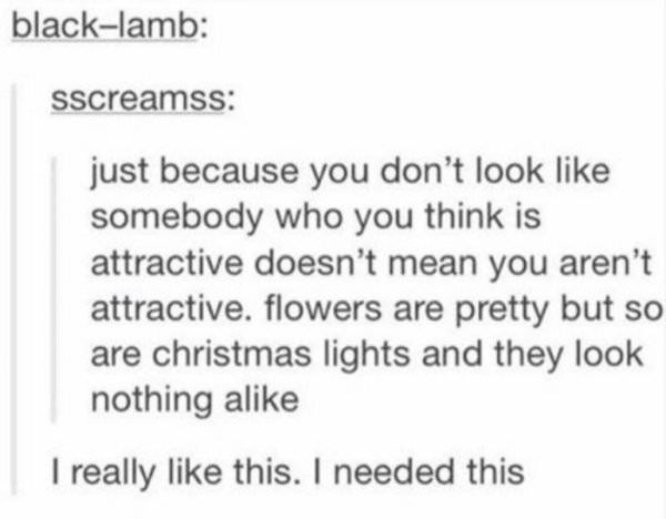 wholesome meme about you are beautiful quotes - blacklamb sscreamss just because you don't look somebody who you think is attractive doesn't mean you aren't attractive. flowers are pretty but so are christmas lights and they look nothing a I really this. 