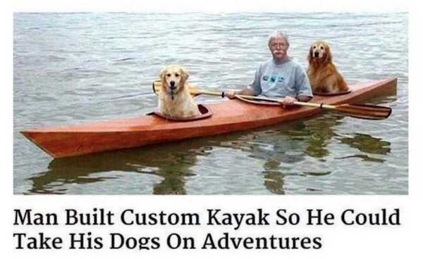 wholesome meme about dog in kayak - Man Built Custom Kayak So He Could Take His Dogs On Adventures