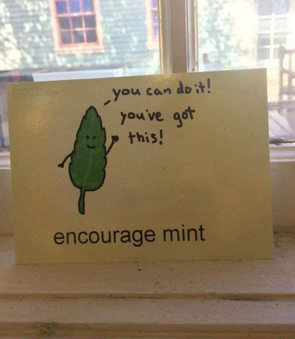 wholesome meme about encourage mint - you can do it! you've got this! encourage mint