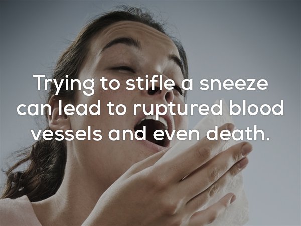 Sneeze - Trying to stifle a sneeze can lead to ruptured blood vessels and even death.
