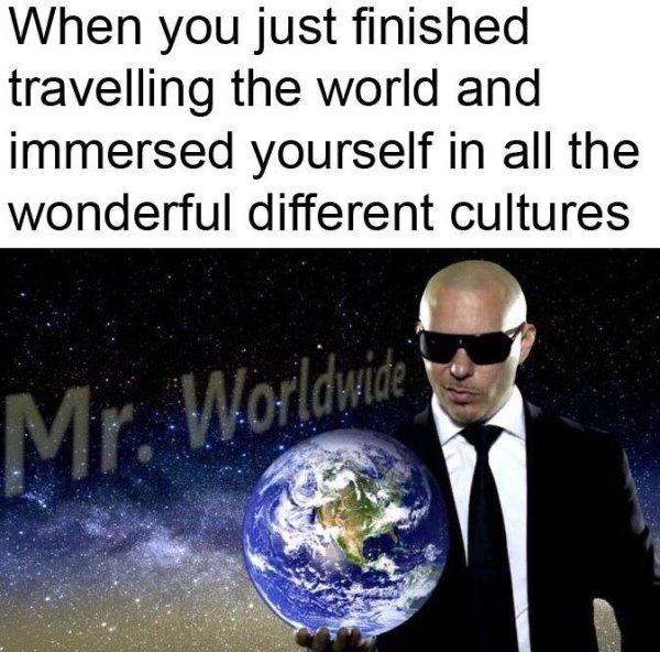 wholesome memes - wholesome meme mr worldwide - When you just finished travelling the world and immersed yourself in all the wonderful different cultures Mr World