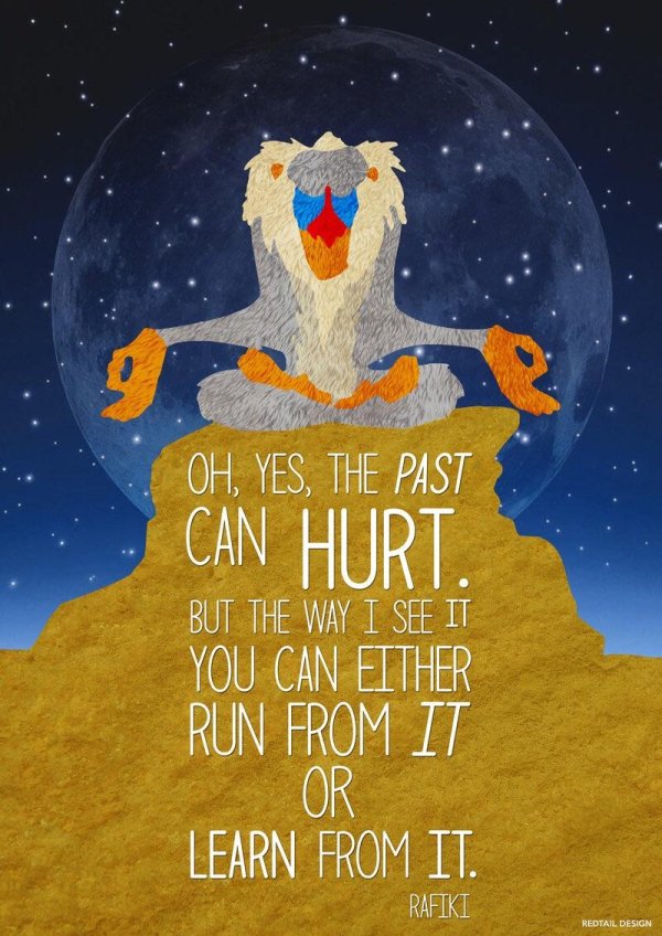 wholesome meme rafiki lion king quote - Oh, Yes, The Past Can Hurt. But The Way I See It You Can Either Run From It Learn From It. Rafiki Redtail Design