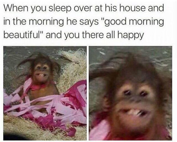 wholesome meme funny relationship memes - When you sleep over at his house and in the morning he says "good morning beautiful" and you there all happy