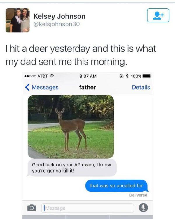 hit a deer yesterday - Kelsey Johnson Thit a deer yesterday and this is what my dad sent me this morning. ..000 At&T 100%