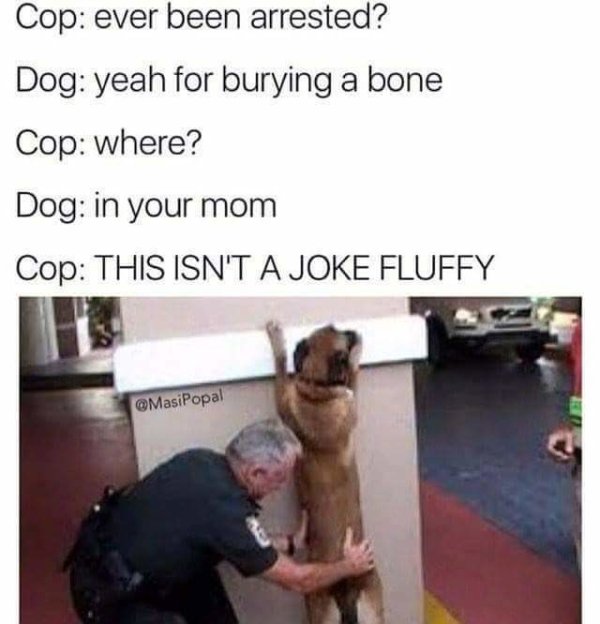 lowbrow jokes - Cop ever been arrested? Dog yeah for burying a bone Cop where? Dog in your mom Cop This Isn'T A Joke Fluffy