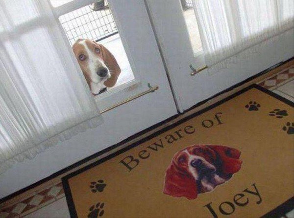 28 pics to put a smile on your face