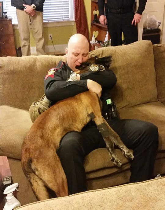 The town’s police K-9 died this morning. This is his caretaker/partner saying goodbye one last time