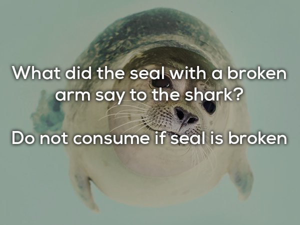 23 dad jokes everyone can laugh at