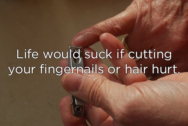 nail - Life would suck if cutting your fingernails or hair hurt.