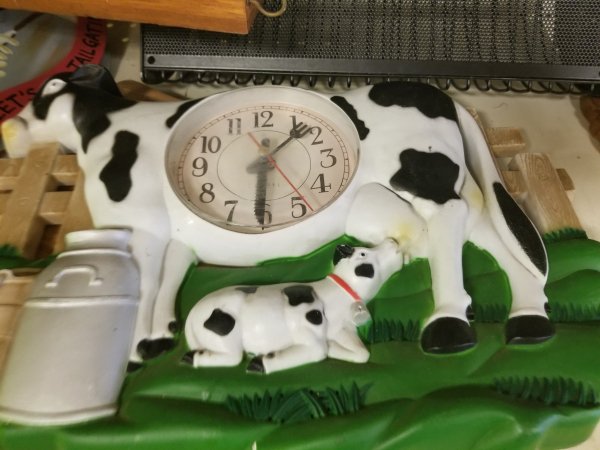wtf thrift store find cattle