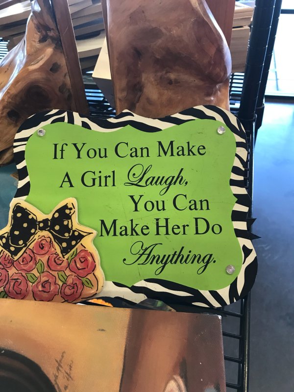 wtf thrift store find 110 If You Can Make A Girl Laugh, You Can Make Her Do Do Anything.