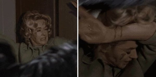 Alfred Hitchcock tied live birds to Tippi Hedren to film the famous attic scene in The Birds. He also chucked live birds at her.