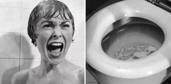 Psycho was the first move to show a toilet being flushed.