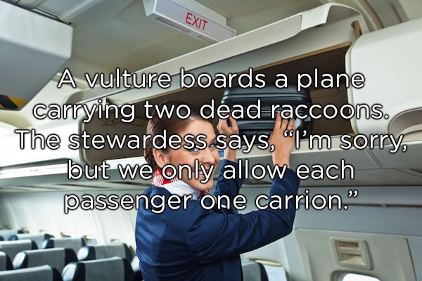airline - A vulture boards a plane carrying two dad raccoons. The stewardess says, "Pm sorry, but we only allow each passenger one carrion."
