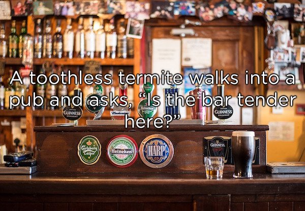 kolkata pub - A toothless termite walks into a pub and asks, Is the bar tender 2 here? Guinness Guinness