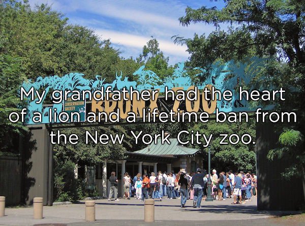 bronx zoo - My grandfather had the heart of a lion and a lifetime ban from the New York City zoo.