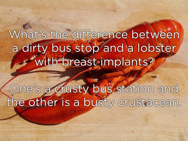 horrible friday jokes - What's the difference between a dirty bus stop and a lobster with breast implants? One's a crusty bus station and the other is a busty crustacean.