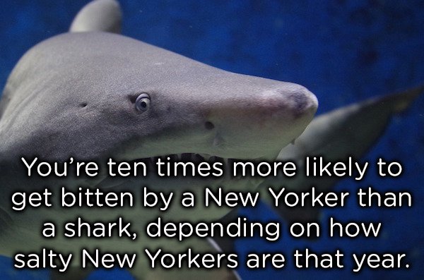 22 Strange Animal Facts That Will Leave You Asking WTF?