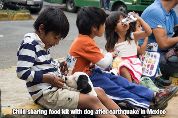 remind you that life is beautiful - Child sharing food kit with dog after earthquake in Mexico