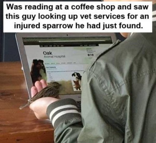 if you love two people - Was reading at a coffee shop and saw this guy looking up vet services for an injured sparrow he had just found. Oak Animal Hos