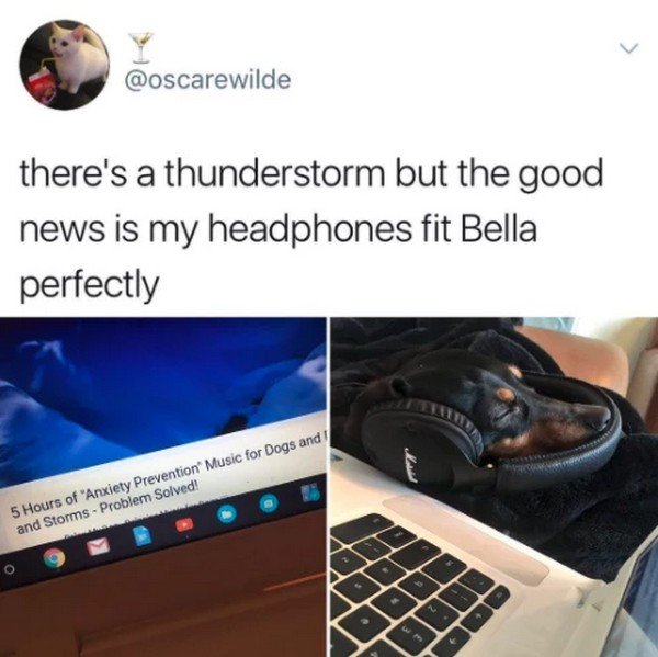 thunderstorm memes - there's a thunderstorm but the good news is my headphones fit Bella perfectly 5 Hours of "Anxiety Prevention Music for Dogs and and Storms Problem Solved!