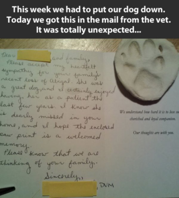 writing - This week we had to put our dog down. Today we got this in the mail from the vet. It was totally unexpected... go he trand last I Dear and family, Pleast accept my heartfelt sympathy for your family's recent loss of abigal. She was a great dog, 