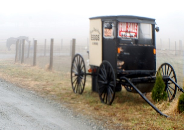 The Amish have been known to excommunicate members which means the person is expelled from the community. The measure is so extreme that even parents are expected to cut off all forms of communications with their kids.