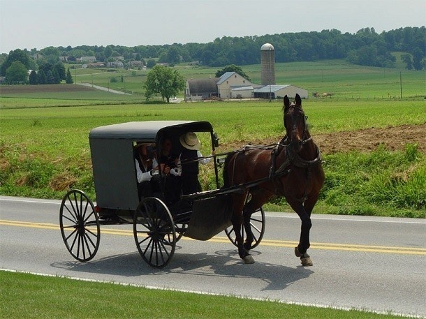 The Amish refer to non-Amish as "English" people. The Amish for the most part are uncomfortable being around non-members, nonetheless, they seek to have a positive relationship with the outside world. The Lancaster Amish in Pennsylvania, allows tourists to visit their community and see their way of life.