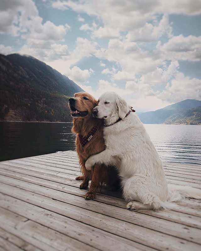 18 Photos To Remind You That Life Is Beautiful