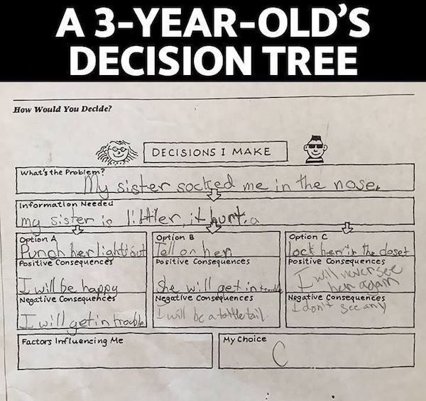 failed job you had one job nailed - A 3YearOld'S Decision Tree How Would You Dedde? Option B Decisions I Make What's the Problem? My sister socked me in the nose Information Neede Ima sister in l.ftler, it hurt a Option A Option a t 1 Lluit Punch herliak 